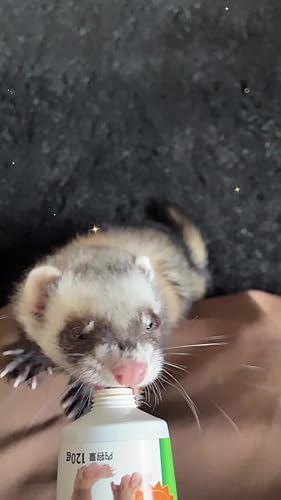 Amazon | エイト イン ワン (8 in 1) 8in1フェレットバイト・ビタミン