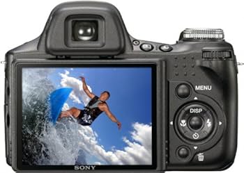 Amazon.com : Sony Cybershot DSC-HX1 9.1MP 20x Optical Zoom Digital