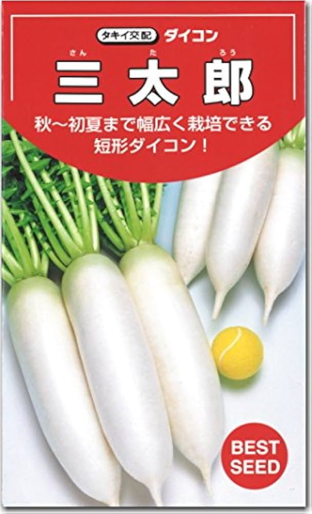 Amazon.co.jp: だいこん 種子 三太郎 大根 (7ml) : DIY・工具・ガーデン
