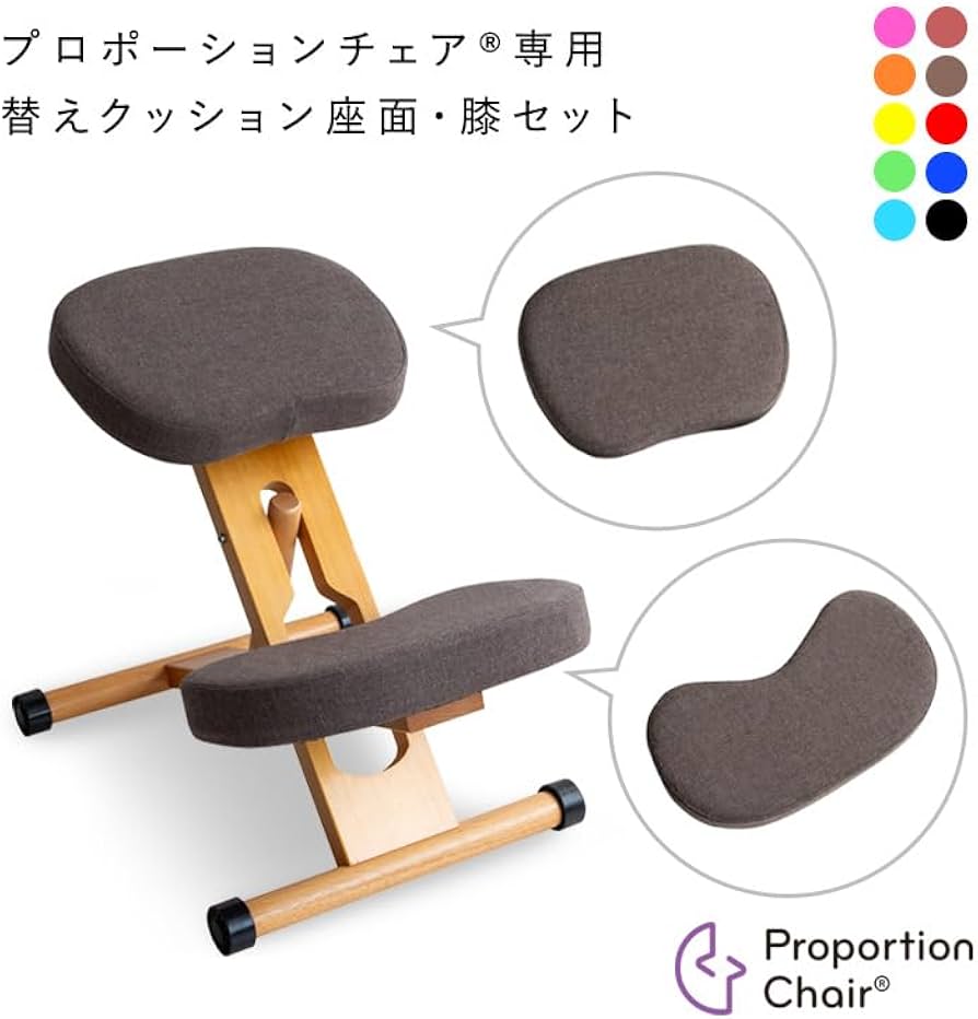 Amazon.co.jp: 宮武製作所 プロポーションチェア用替えクッション 本体