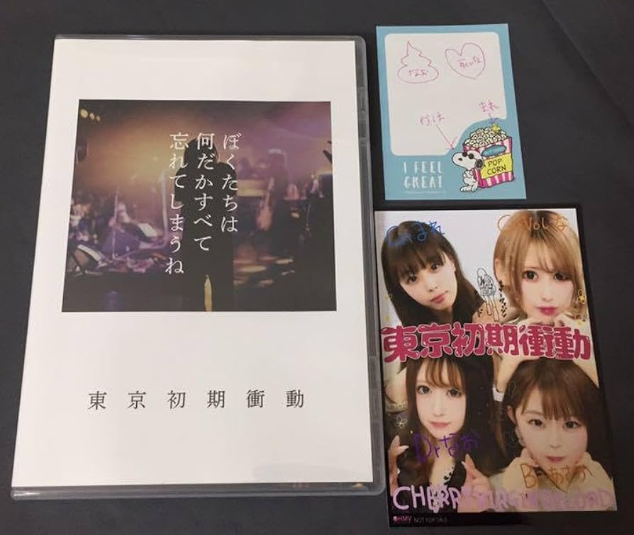 Amazon.co.jp: 東京初期衝動 DVD ぼくたちは何だかすべて忘れてしまう