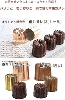 51sOQ3j+sBL._AC_UF350,