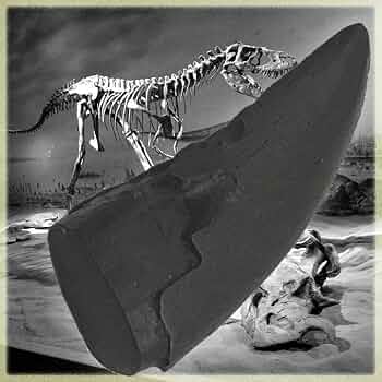 51sQ53wHOTL._AC_UF350,