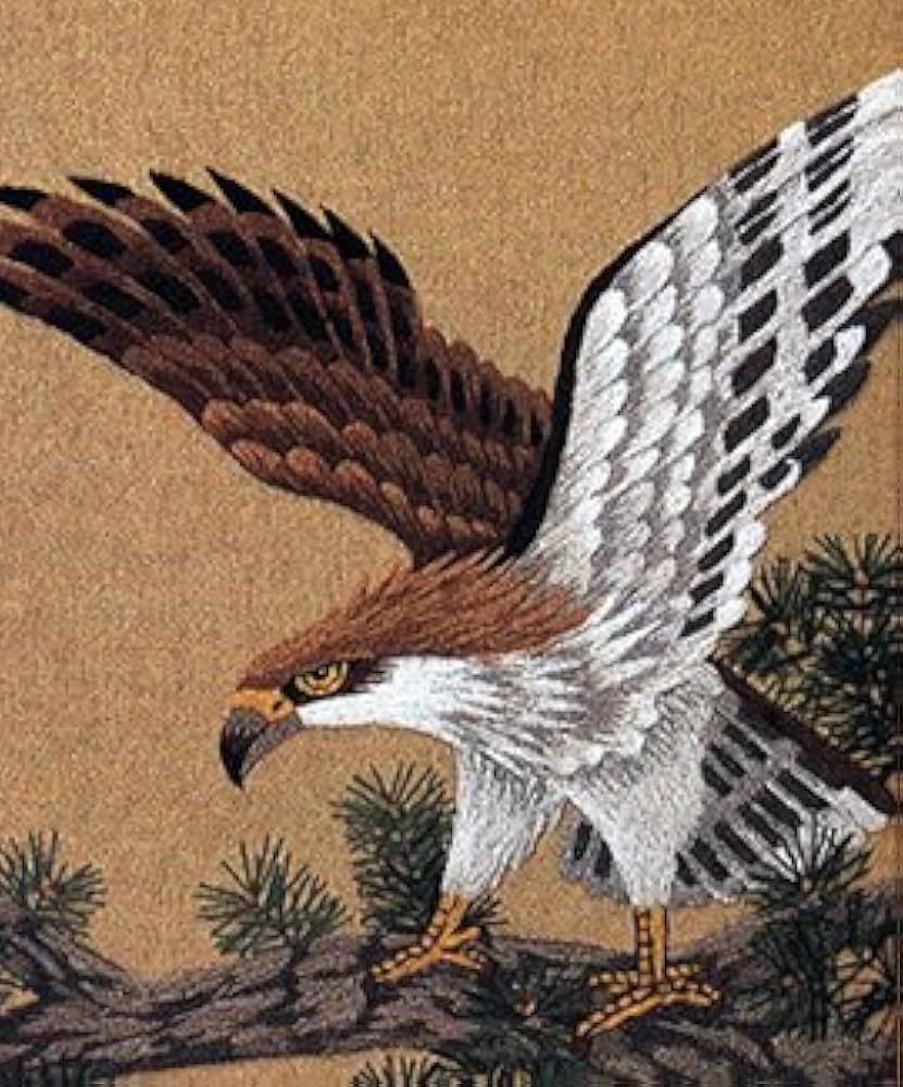 Amazon | 東京文化刺繍キット No107 老松と鷹（3号）(Bunka