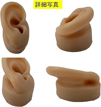 Amazon.co.jp: シリコン 耳 模型 両耳 左右セット 耳モデル 人工