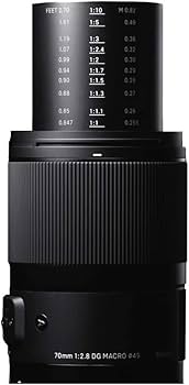 70mm F2.8 Art DG Macro for Sony E : SIGMA: Amazon.ca: Electronics