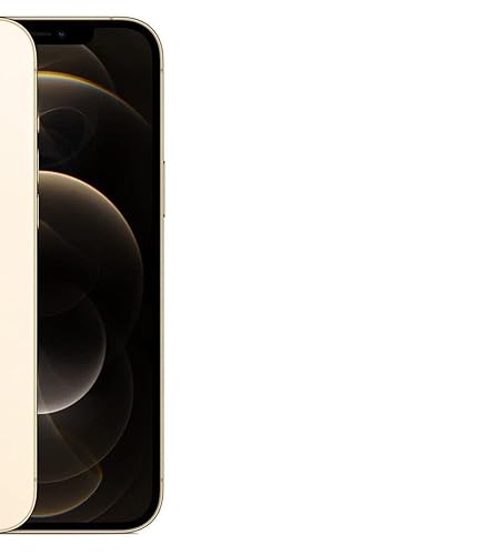 Amazon.com: Apple iPhone 12 Pro Max 5G, US Version, 256GB, Gold