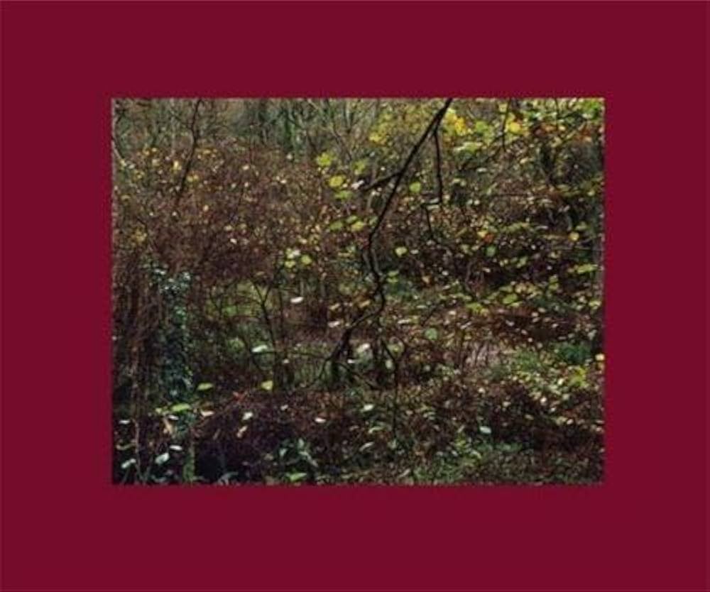 The Painter's Pool: Southam, Jem: 9781590051733: Amazon.com: Books