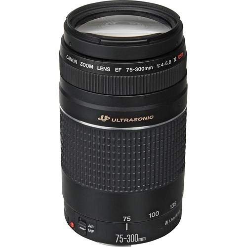 Amazon.com : Canon EF 75-300mm f/4-5.6 III Telephoto Zoom Lens for