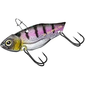 Amazon.co.jp: ジグ - ルアー: スポーツ＆アウトドア