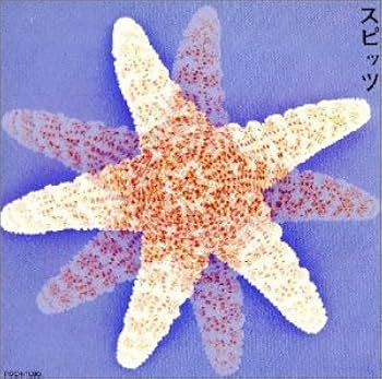 Amazon.co.jp: スピッツ: ミュージック