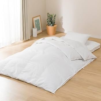 Amazon｜ニトリ(NITORI) 2枚合わせ羽毛&抗菌防臭寝具4点セット