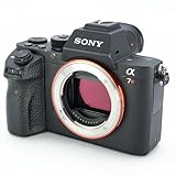 SONY SEL55F18Zレビュー！撮りやすい画角と最高の解像感を得られる神レンズ