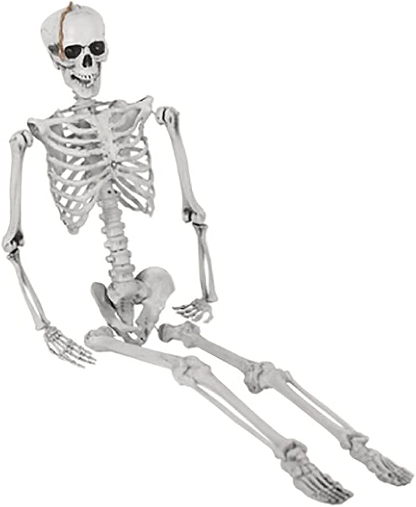 Amazon | ハロウィン 骸骨 ガイコツ 骨 等身大 置物 約165cm ホラー