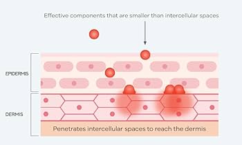 Amazon.co.jp: LHA LALA Peel Set Basic & Ultra ララ ピール