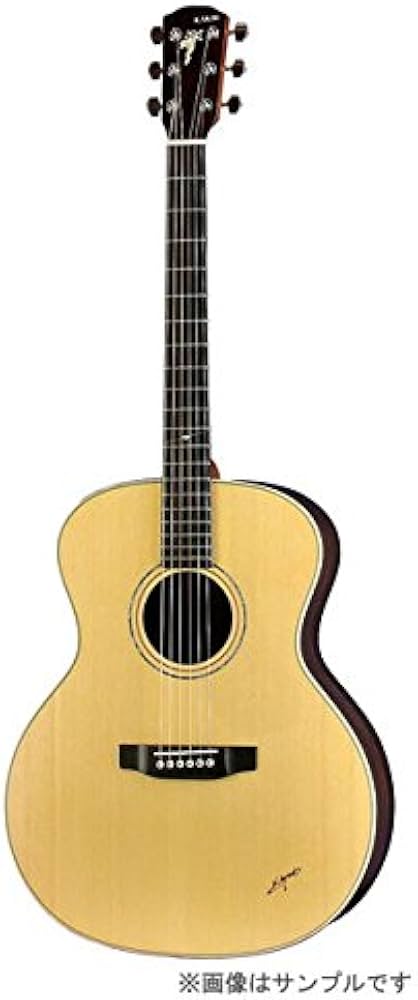 Amazon | K.YAIRI BL-95 N アコースティックギター ハードケース付き