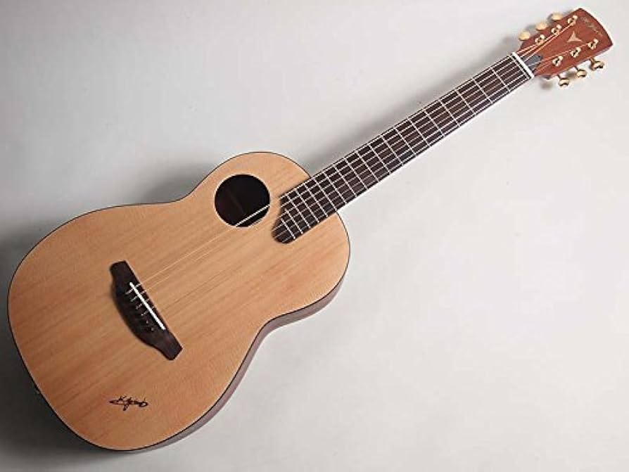 Amazon | K.Yairi/Nocturne ノクターン ST【ヤイリ】 | スチール弦