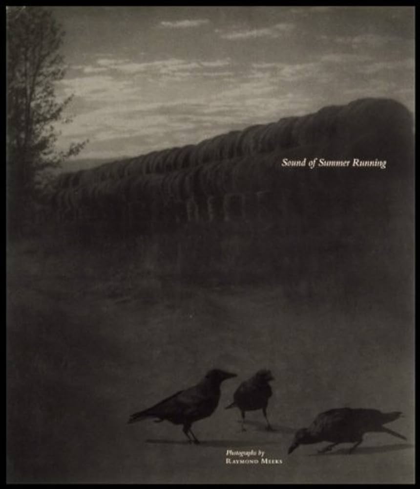 Amazon.com: Sound of Summer Running: 9781590051122: Meeks, Raymond