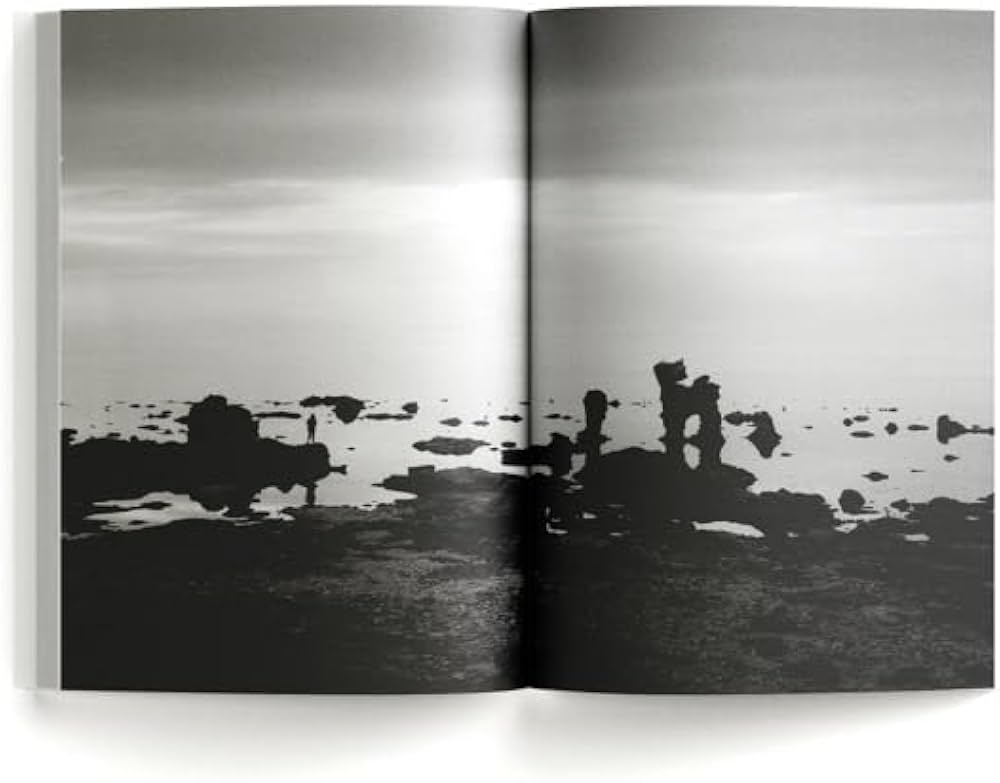 Amazon.com: Lina Scheynius: My Photo Books 15: 9782365681018