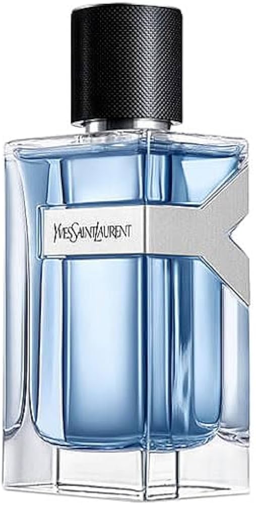 Amazon | イヴ サンローラン YSL Y MEN メン オードトワレ 100ml EDT