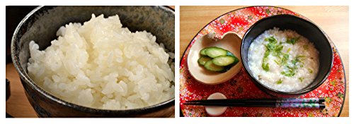 Amazon | 【酵素玄米炊飯器】酵素玄米Pro2（SC06JP） | 富士フイルム