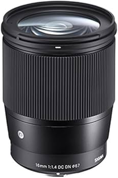 Amazon.com : Sigma 16mm f/1.4 DC DN Contemporary Lens for Sony E