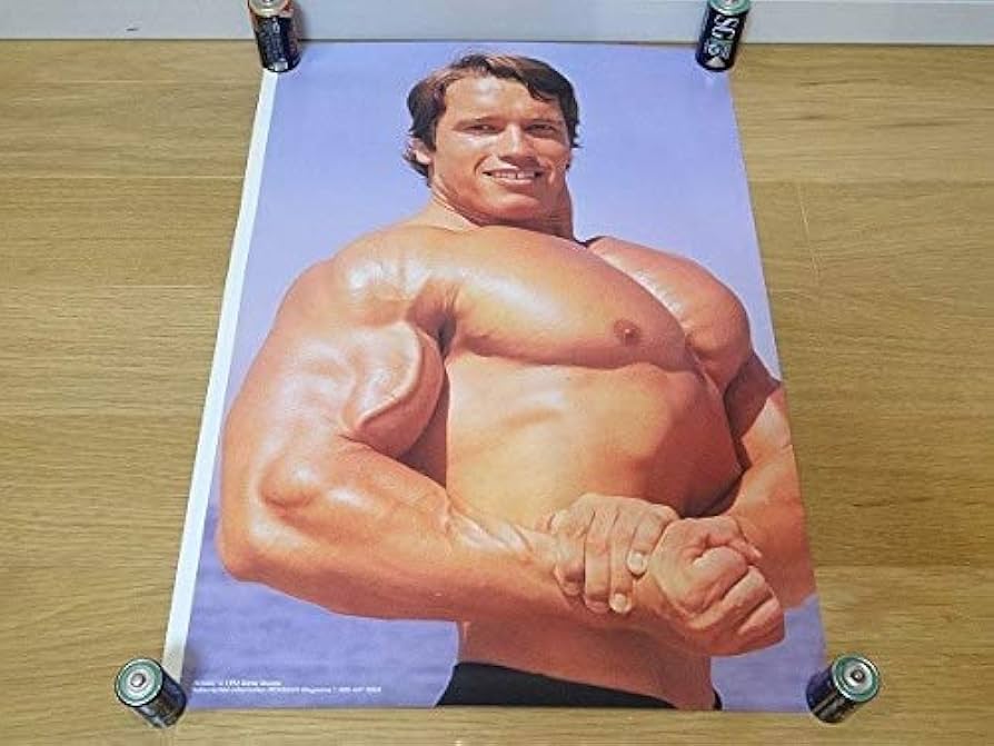 Amazon.co.jp: アーノルドシュワルツェネッガー シュワちゃん ボディ
