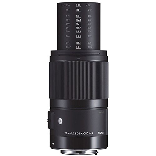 Amazon.com : Sigma 70mm F2.8 Art DG Macro for L Mount : Electronics