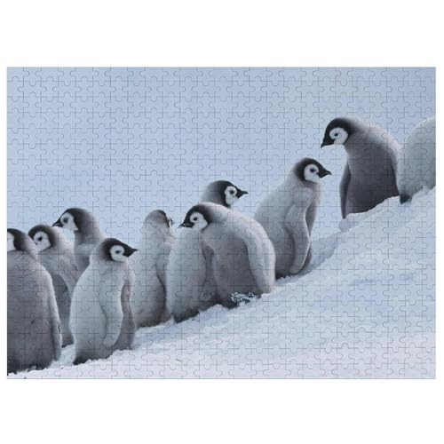 吉田遠志 ゼントウペンギン 1000ピース ジクソーパズル 吉田遠志 ゼン