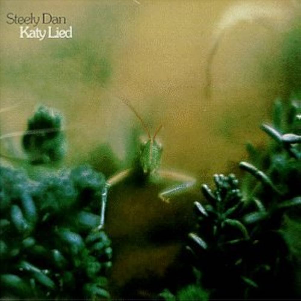Amazon.co.jp: Katy Lied: ミュージック