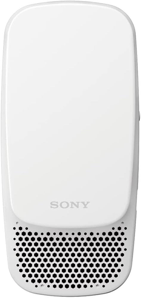 Amazon.co.jp: [ソニー] REON POCKET 3 レオンポケット3 ネック