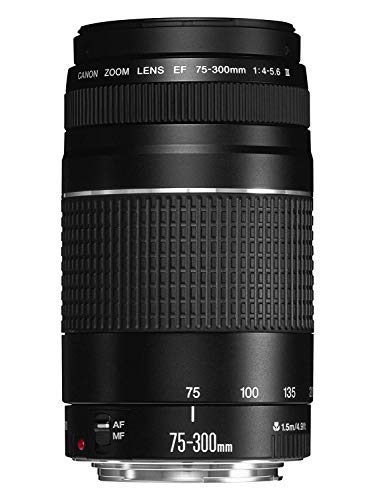 Canon EF 75-300mm f/4-5.6 III Telephoto Zoom Lens for Canon SLR