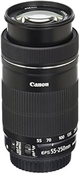 Amazon.com : Canon EF-S 55-250mm F4-5.6 is STM, Telephoto, Black