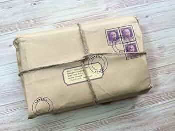 412KItdDNWL._AC_UF350,