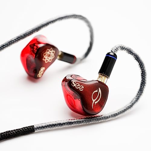 SeeAudio Bravery AE レビュー】とんでもないバランス感覚を備えた超