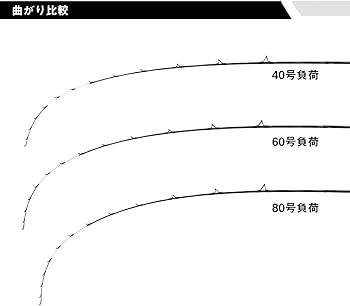 Amazon | ダイワ(DAIWA) 船竿 極鋭 LG EX 73MH-185 | ダイワ(DAIWA) | 船竿