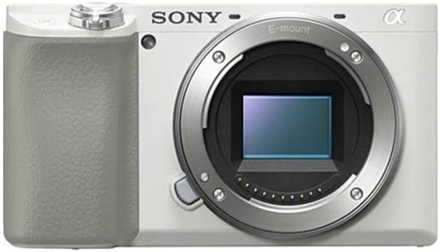 Amazon.com : Sony Alpha A6100 Mirrorless Camera (White) : Electronics