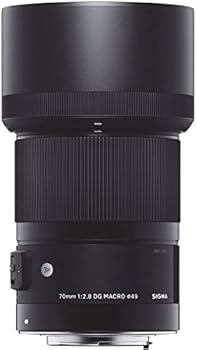 Amazon.com : Sigma 70mm F2.8 Art DG Macro for L Mount : Electronics