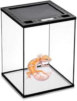 Amazon | 爬虫類 ケージ グラステラリウム 飼育ケース 大 昆虫飼育