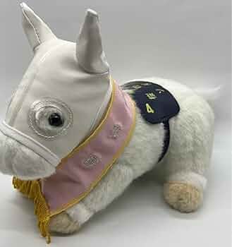 41uOtZORSVL._AC_UF350,