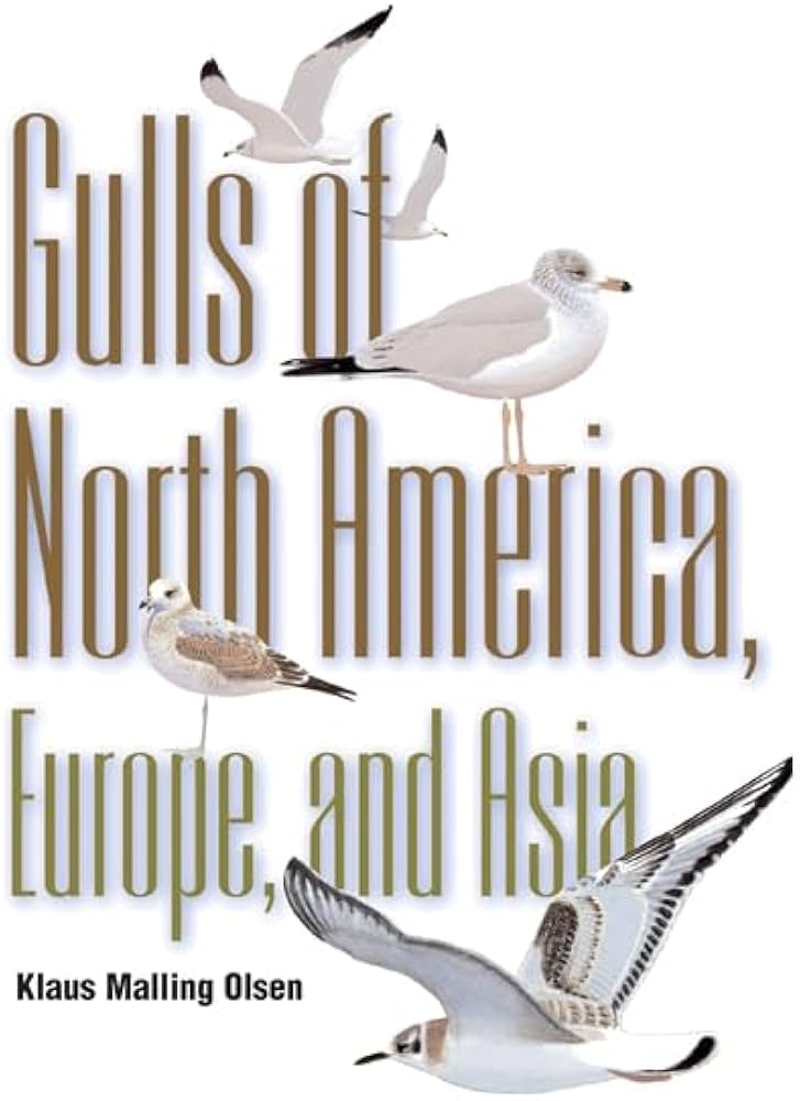 Gulls: Of North America, Europe, and Asia: Olsen, Klaus Malling