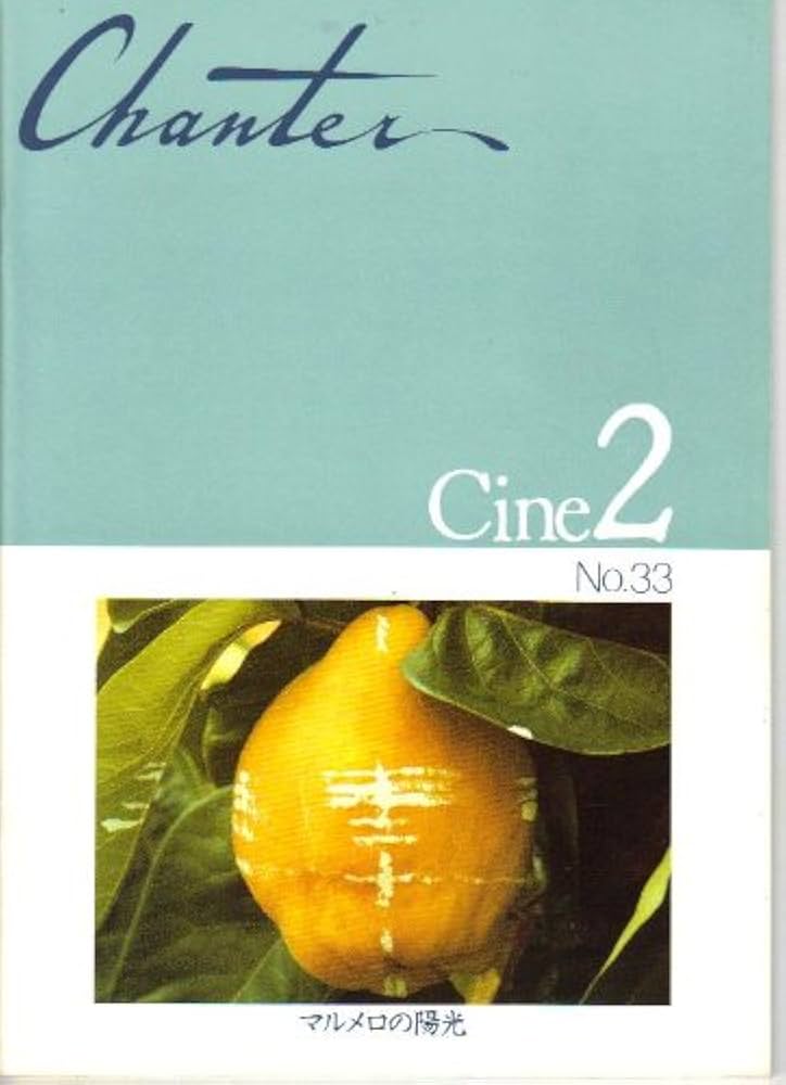 大雪特価‼️幻の傑作‼️「マルメロの陽光('92スペイン)」ヴィクトル