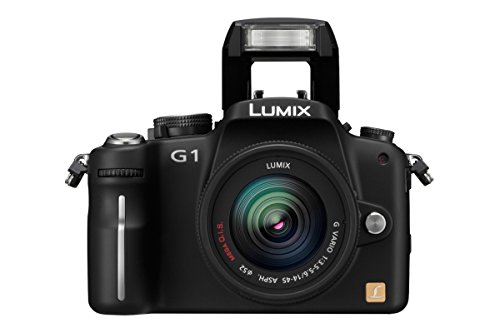 Amazon | パナソニック デジタル一眼カメラ LUMIX (ルミックス) G1