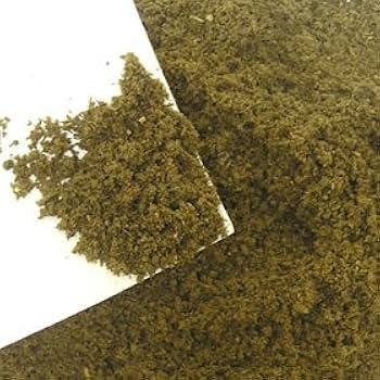 Amazon | フォーテック 産卵一番 10リットル (x 1) | フォーテック