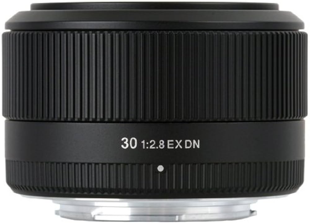 Amazon.co.jp: シグマ 30mm F2.8 EX DN ソニーEマウント用 デジタル