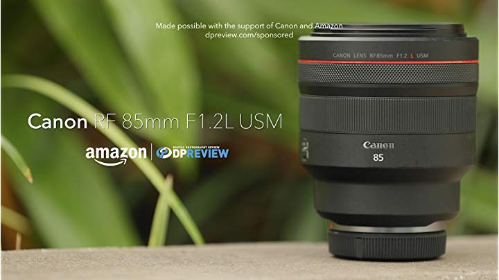 Amazon.com : Canon RF 85mm F1.2 L USM Lens, Black : Electronics