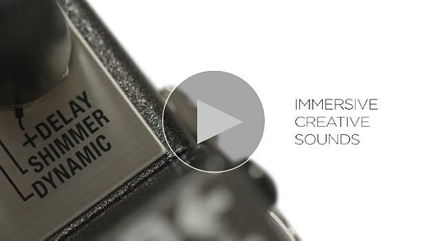 Amazon.com: BOSS RV-6 Reverb Guitar Pedal (RV-6) : Musical Instruments