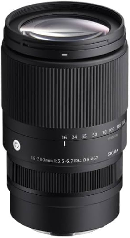 Amazon.com : Sigma 16-300mm F3.5-6.7 DC OS | Contemporary Lens for
