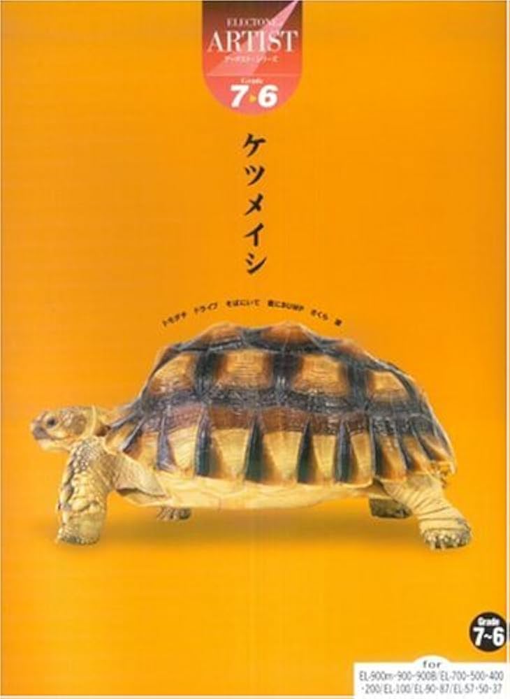 エレクトーングレード7~6級 アーチストシリーズ ケツメイシ (FDデータ