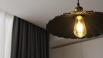 Oyisen Plug in Pendant Light 13.8 Inch Round Metal Shade Vintage